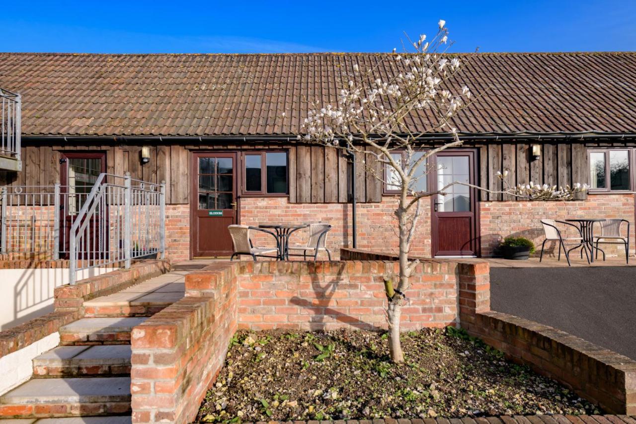 Luccombe Farm Holiday Cottages Milton Abbas Exterior photo