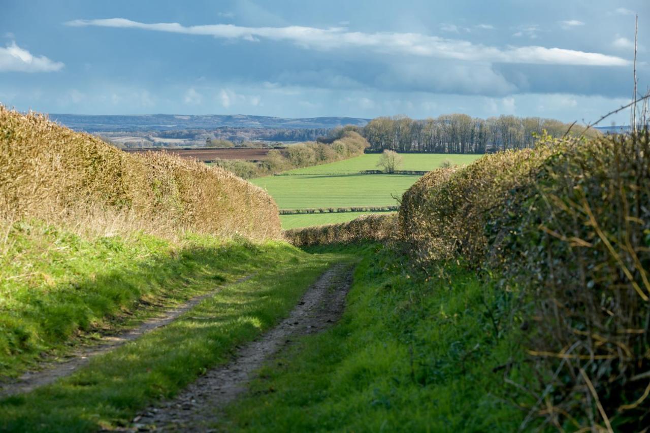 Luccombe Farm Holiday Cottages Milton Abbas Exterior photo