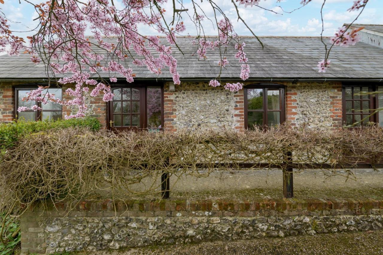 Luccombe Farm Holiday Cottages Milton Abbas Exterior photo